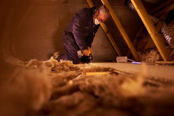 Best Specialized Insulation Services in Wintersville, OH